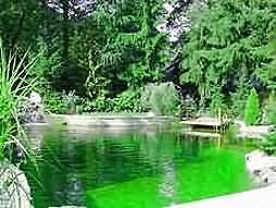 Unser Waldsee :-)