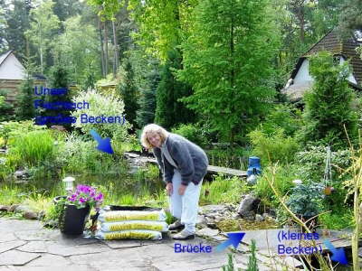 Alter Teich