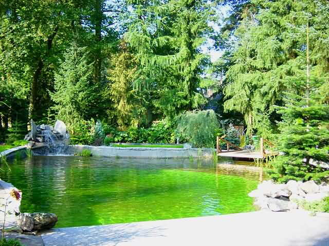 Sommer 2007 Bild 11