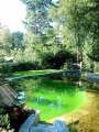 Sommer 2007 Bild 16