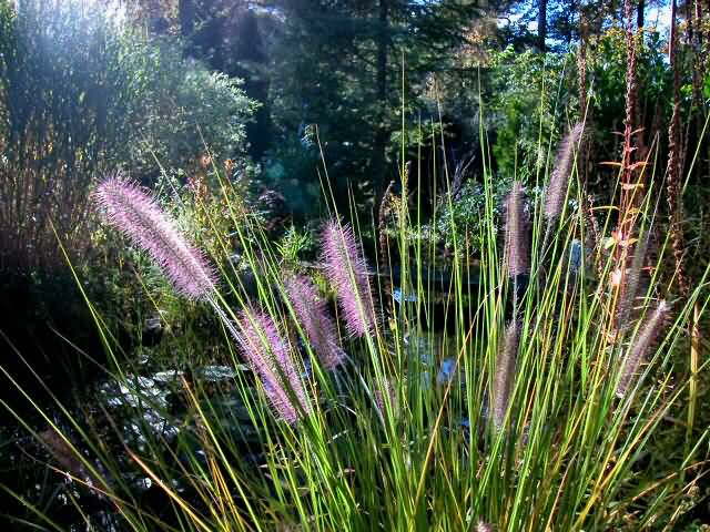 Sommer 2007 Bild 2