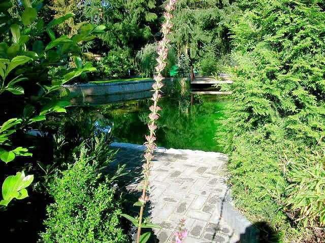 Sommer 2007 Bild 8
