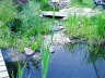 Vorher