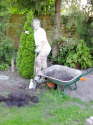 der Baum bleibt hier